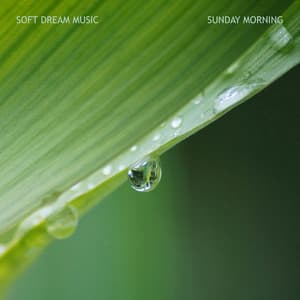 Sunday Morning - Soft Dream Music