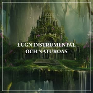 Lugn instrumental och naturoas - Ashna Lite