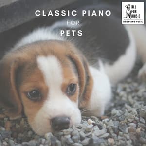 Classic Piano for Pets - Jingle Cats