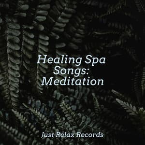 Healing Spa Songs: Meditation - Lullabies for Deep Meditation