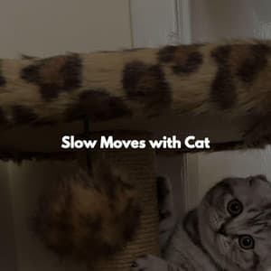 Slow Moves with Cat - Vintage Cafe Vibes