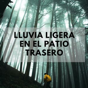 Lluvia Ligera En El Patio Trasero - Grabaciones de lluvia