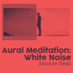 Aural Meditation: White Noise - Absolute Sleep