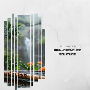 Rain-Drenched Solitude: Soulful Flute Meditations Amidst the Calming Storm's Murmur - All Saints Flute