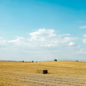 1 Tired Sky: Tracing The Stars - Calm Music