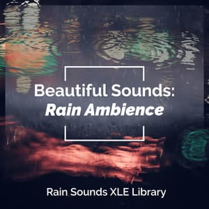Beautiful Sounds: Rain Ambience - Rain Sounds XLE Library