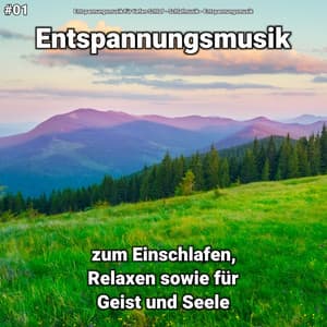 #01 Entspannungsmusik zum Einschlafen, Relaxen sowie für Geist und Seele - Entspannungsmusik für tiefen Schlaf