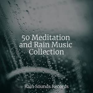 50 Meditation and Rain Music Collection - Nature Sound Collection