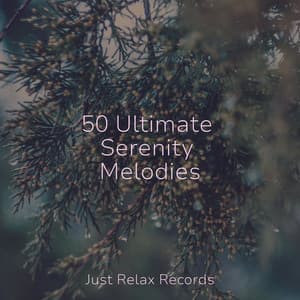 50 Ultimate Serenity Melodies - Healing Yoga Meditation Music Consort