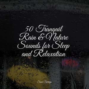 50 Tranquil Rain & Nature Sounds for Sleep and Relaxation - Sleep Songs 101