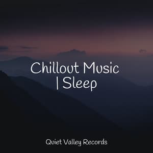 Chillout Music | Sleep - Yoga Rain