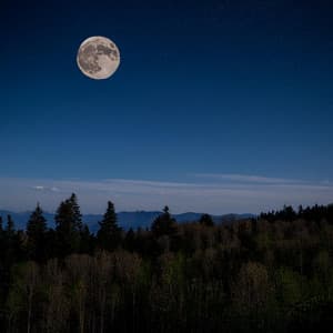 Armonías Para Dormir: Sonidos Tranquilos De Lofi - Vibraciones perezosas