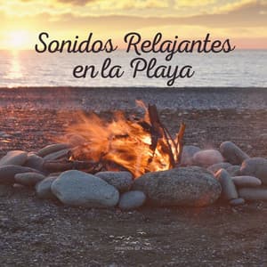 Sonidos Relajantes en la Playa - Sonidos De Aves