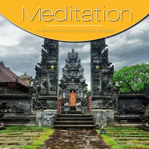 Meditation, Vol. Grey - Vi-Starrs