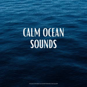 Calm Ocean Sounds - Ocean Sounds