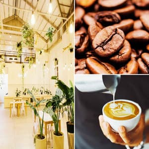 Bgm for Bright Dedication - Easy Cooking Music