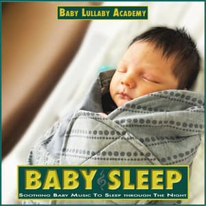 Baby Sleep: Soothing Baby Music To Sleep through The Night - Baby Lullaby Academy