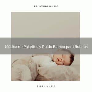 Música de Pajaritos y Ruido Blanco para Buenos - Ruido Blanco Para Estudiar