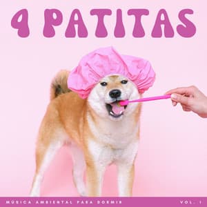 4 Patitas: Música Ambiental Para Dormir Vol. 1 - Drones Congelados
