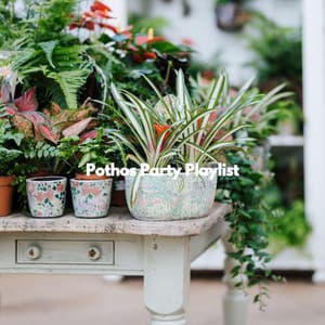 Pothos Party Playlist - Coffee House Lounge VIbes