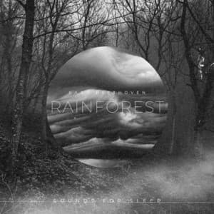 Rainforest- Sounds for Sleep - Natural Sounds