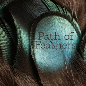 Path of Feathers - Jonathan Segue