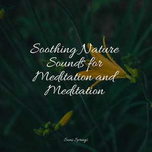 Soothing Nature Sounds for Meditation and Meditation - Rest & Relax Nature Sounds