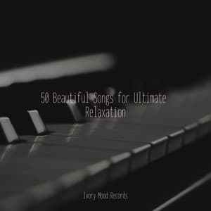 50 Beautiful Songs for Ultimate Relaxation - Ivory Mood