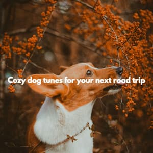 Cozy dog tunes for your next road trip - Música para Concentrarse Proyecto