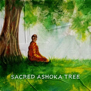 Sacred Ashoka Tree - Hardik Vedanta