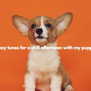 Cozy tunes for a chill afternoon with my puppy - Música para Tiendas Musica De Fondo