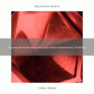 A Lovely Brownian Noise For Carpe Diem Instant Karma, Tired Nap - White Noise For Sleeping Problems