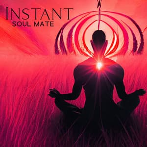 Instant Soul Mate - Enlightened State