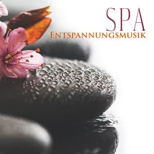 Spa Entspannungsmusik: Tiefenentspannung Atmosphäre für Wellness & Regeneration, Heilende Geräusche der Natur, Entspannungsmusik & Meditation - Sonja Ruhige