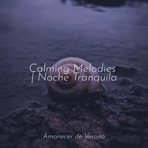 Calming Melodies | Noche Tranquila - Nature Sounds Nature Music