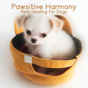 Pawsitive Harmony: Reiki Healing for Dogs – Alleviating Stress and Anxiety, Promoting Inner Peace - Dog Oasis