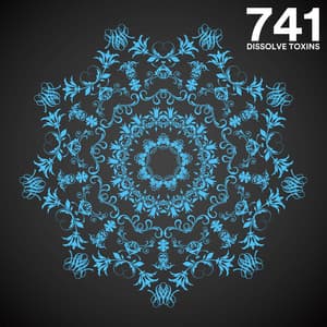 741 Hz Dissolve Toxins - High Vibes Now!