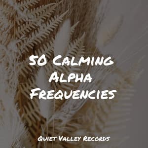 50 Calming Alpha Frequencies - White Noise Sleep Sounds
