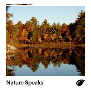 Nature Speaks - Rain Sounds Nature Collection