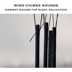 Wind Chimes Sounds - ASMR Earth
