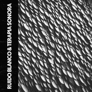 Ruido Blanco & Terapia Sonora: Calma en el ruido - The White Noise Travelers