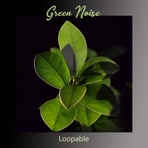 Green Noise Loopable - Focus Green Noise