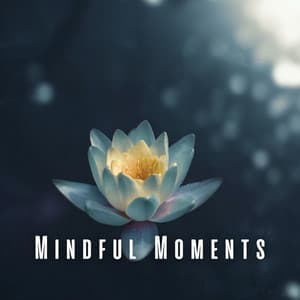 Mindful Moments: Ambient Music and Deep Meditation - Healing Meditation Relaxing Music Channel