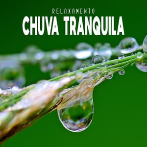 Chuva Tranquila - Relaxamento
