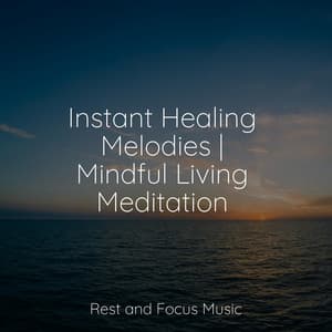 Instant Healing Melodies | Mindful Living Meditation - Study Concentration