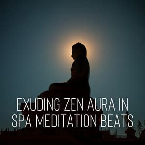 Exuding Zen Aura in Spa Meditation Beats - Transcendental Meditation