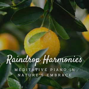 Raindrop Harmonies: Meditative Piano in Nature's Embrace - Relax Rain