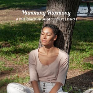 Humming Harmony: A Chill Relaxation Sound of Nature's Insects - The Committers