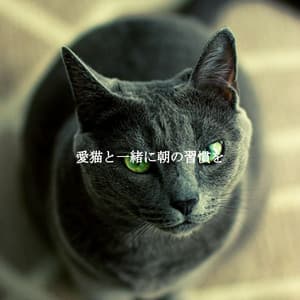 愛猫と一緒に朝の習慣を - Happy Morning Music