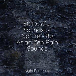 80 Restful Sounds of Nature - 80 Asian Zen Rain Sounds - Masters of Binaurality
